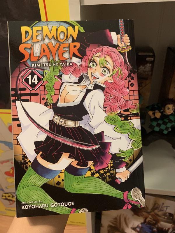 Picture of Demon Slayer: Kimetsu no Yaiba, Vol. 14