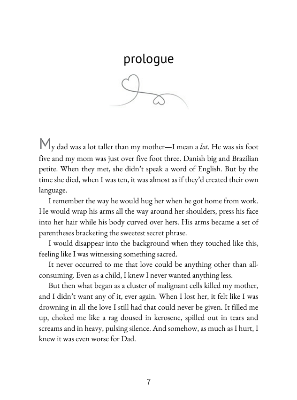 Picture of Love and Other Words by Christina Lauren ( Premium Print and Matte Cover ) Novel