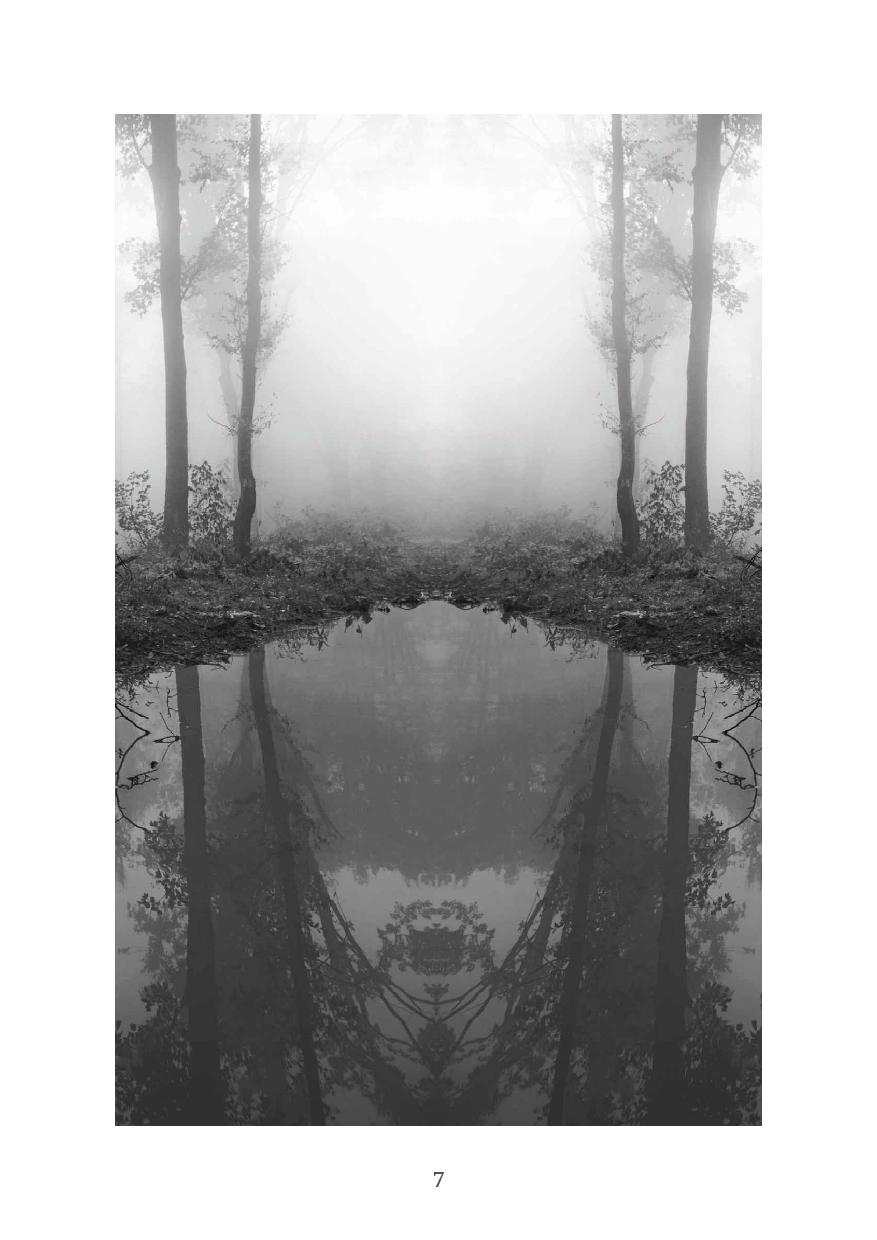 Picture of The House Across the Lake by Riley Sager ( Premium Paper, Matte Cover ) Novel