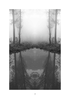 Picture of The House Across the Lake by Riley Sager ( Premium Paper, Matte Cover ) Novel