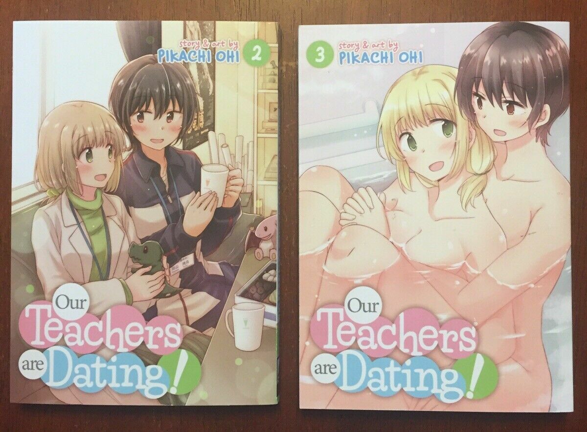 Picture of Our Teachers Are Dating Vol 2 Light Novel Japanese Import Anime Manga Books