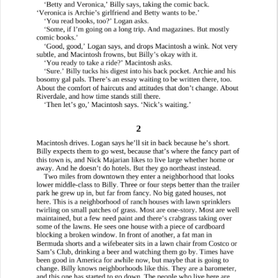 Picture of Billy Summers by Stephen King ( Premium Papers and Matte Covers ) Novel