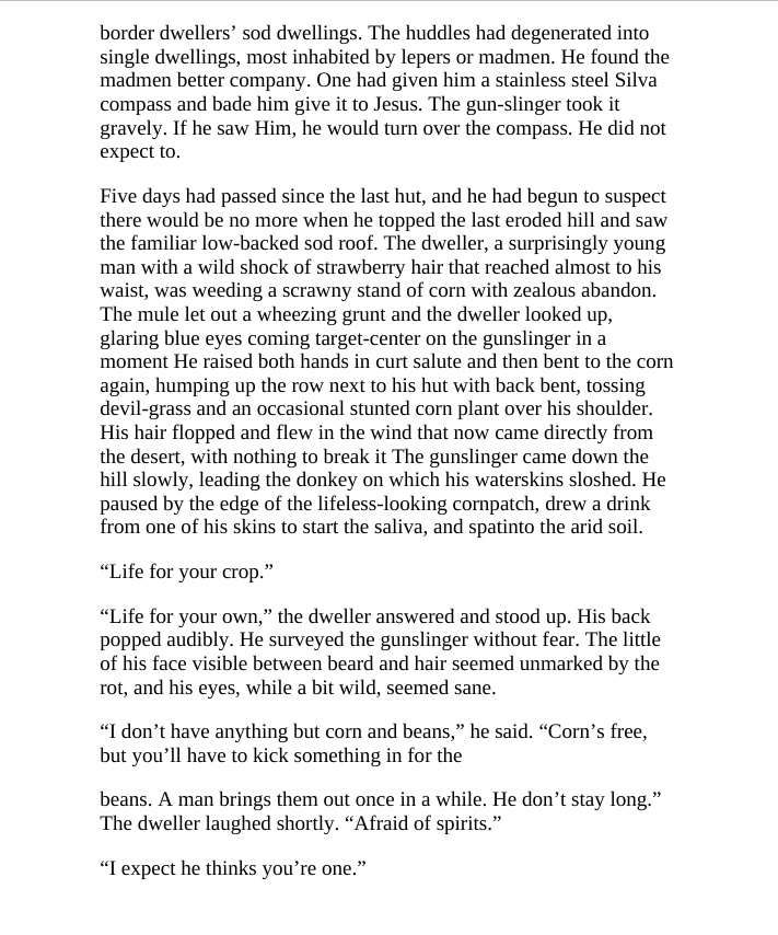 Picture of The Gunslinger ( The Dark Tower #1 ) ( Book by Stephen King ) ( Premium Paper and Matte Cover ) Novel