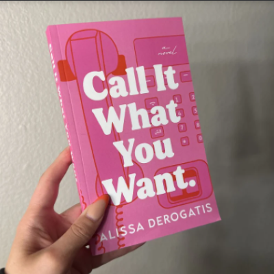Picture of Call It What You Want ( Book by Alissa DeRogatis ) ( Premium Paper and Matte Cover ) Novel