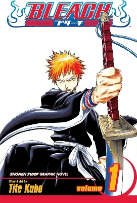 Picture of Bleach Volume 1 Manga Graphic Novels Book