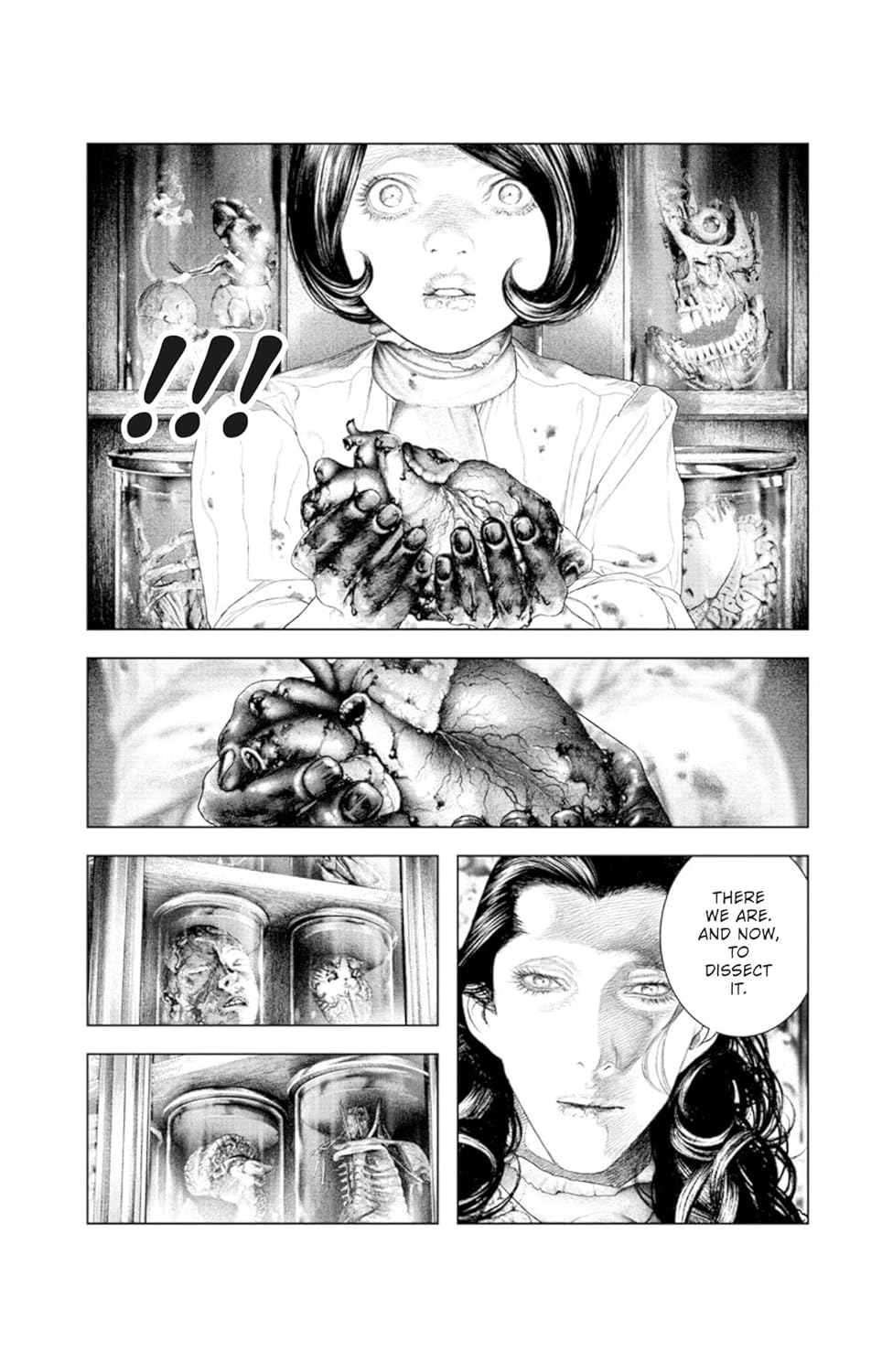 Picture of Innocent Rouge Omnibus Volume 1 Paperback – October 21, 2025