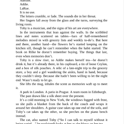 Picture of The Invisible Life of Addie LaRue by V.E. Schwab ( Premium Paper and Matte Covers ) Novel