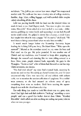 Picture of The Summer of Broken Rules by K.L. Walther ( Premium Paper and Matte Cover ) Novel