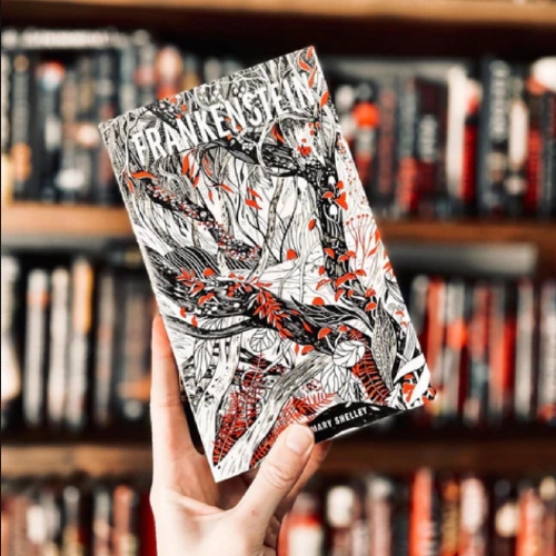 Picture of Frankenstein ( Book by Mary Shelley ) ( Premium Paper and Matte Cover ) Novel