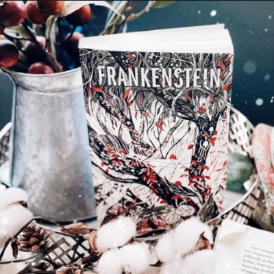 Picture of Frankenstein ( Book by Mary Shelley ) ( Premium Paper and Matte Cover ) Novel