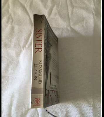 Picture of Sister by Rosamund Lupton ( Premium Paper and Matte Cover ) Novel