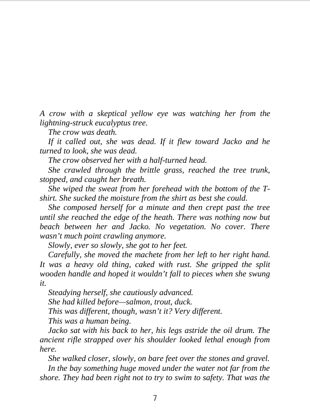 Picture of The Island by Adrian McKinty ( Premium Cover and Matte Cover ) Novel