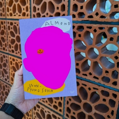 Picture of Almond ( Book by Sohn Won-Pyung ) ( Premium Paper and Matte Cover ) Novel