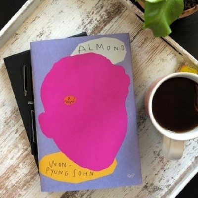 Picture of Almond ( Book by Sohn Won-Pyung ) ( Premium Paper and Matte Cover ) Novel