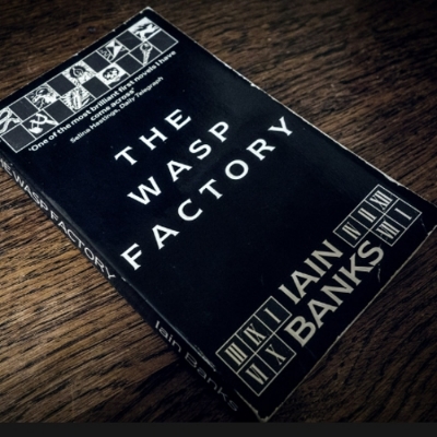 Picture of The Wasp Factory ( Book by Iain Banks ) ( Premium Paper and Matte Cover ) Novel