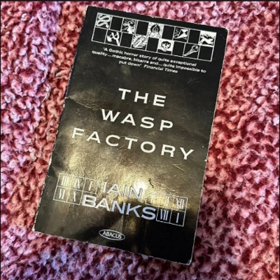 Picture of The Wasp Factory ( Book by Iain Banks ) ( Premium Paper and Matte Cover ) Novel