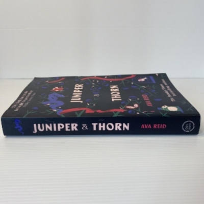 Picture of Juniper & Thorn ( Book by Ava Reid ) ( Premium Paper and Matte Cover ) Novel
