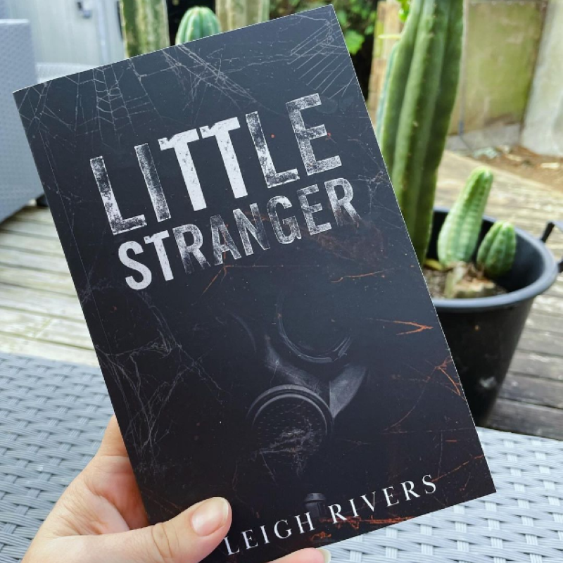 Picture of Little Stranger ( The Web of Silence Duet #1 ) ( Book by Leigh Rivers ) ( Premium Paper and Matte Cover ) Novel