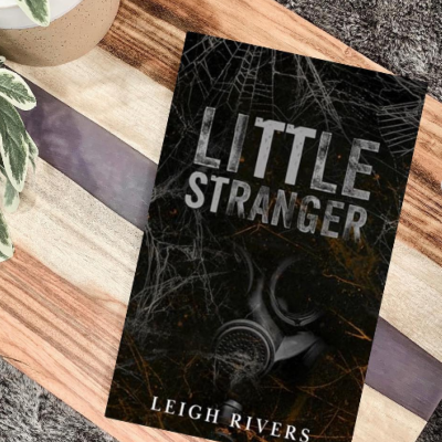 Picture of Little Stranger ( The Web of Silence Duet #1 ) ( Book by Leigh Rivers ) ( Premium Paper and Matte Cover ) Novel
