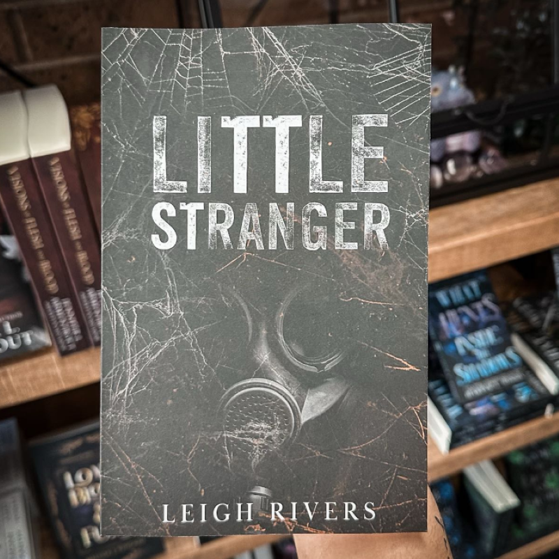 Picture of Little Stranger ( The Web of Silence Duet #1 ) ( Book by Leigh Rivers ) ( Premium Paper and Matte Cover ) Novel