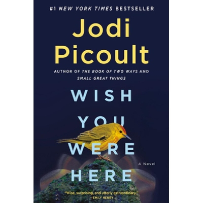 Picture of Wish You Were Here by Jodi Picoult ( Premium Paper and Matte Cover ) Novel