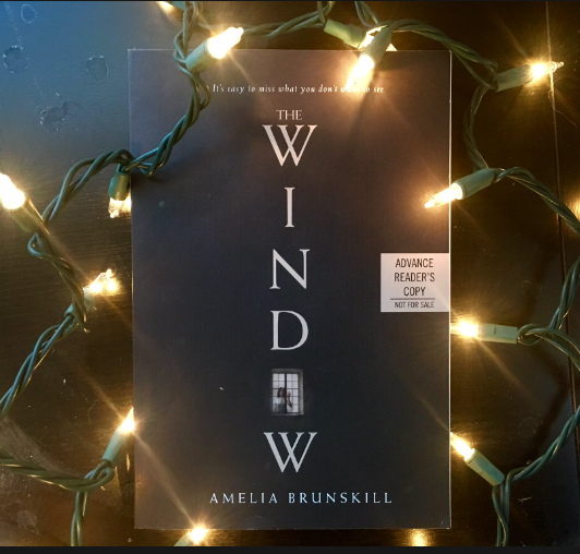 Picture of The Window ( Book by Amelia Brunskill ) ( Premium Paper and Matte Cover ) Novel