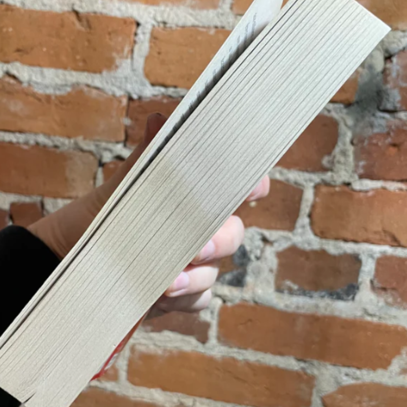 Picture of Die Trying ( Jack Reacher #2 ) ( Book by Lee Child ) ( Premium Paper and Matte Cover ) Novel