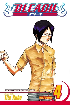 Picture of Bleach, Vol. 4
