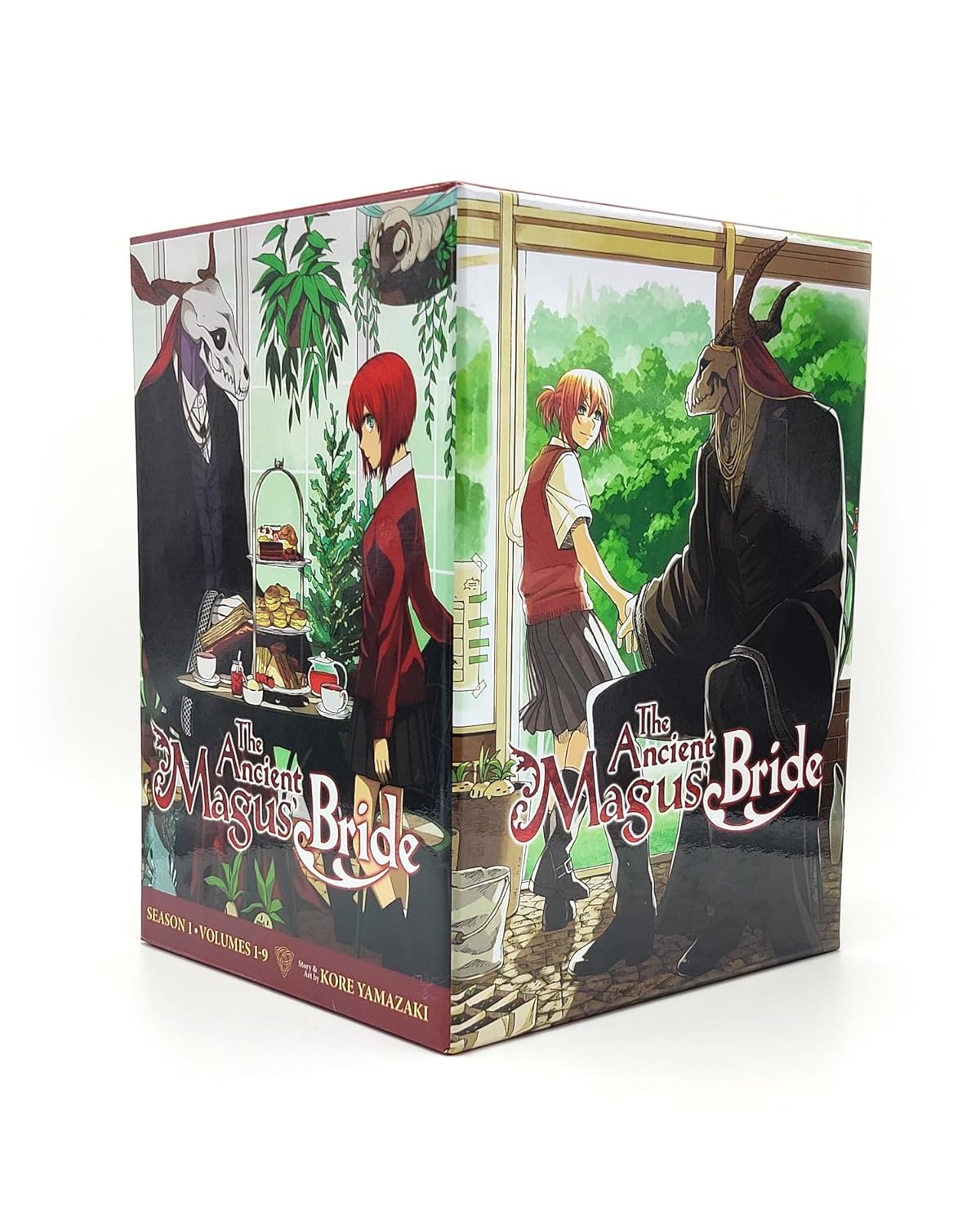 Picture of The Ancient Magus' Bride - Season 1 Box Set (Vol. 1-9) Paperback – November 14, 2023