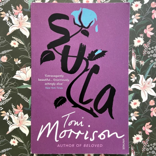 Picture of Sula ( Book by Toni Morrison ) ( Premium Paper and Matte Cover ) Novel