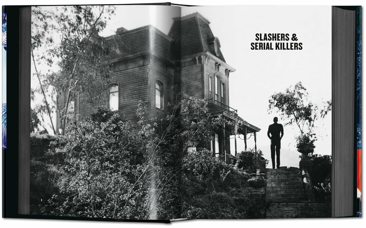 Picture of Horror Cinema (Bibliotheca Universalis) Hardcover – April 25, 2017