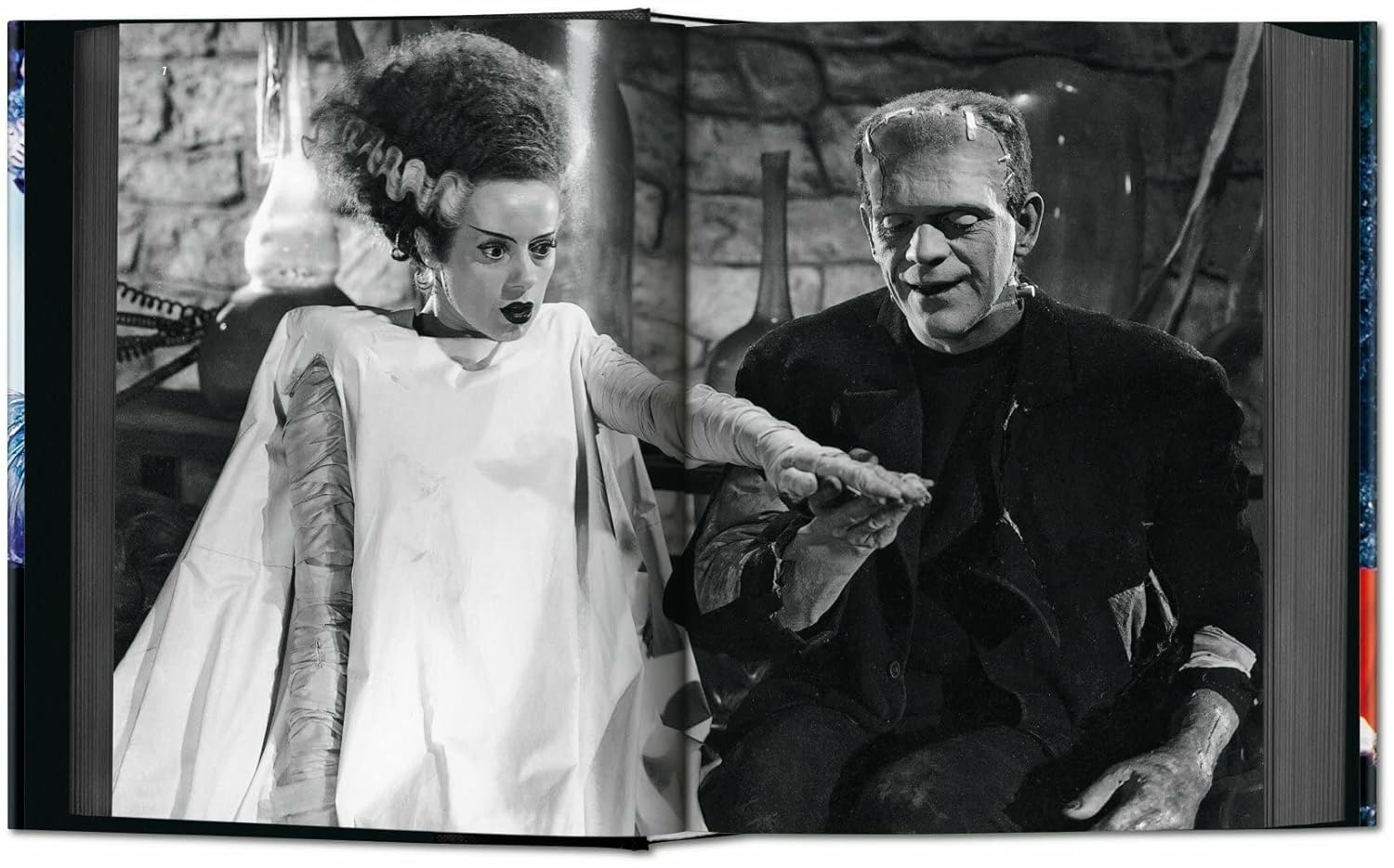 Picture of Horror Cinema (Bibliotheca Universalis) Hardcover – April 25, 2017