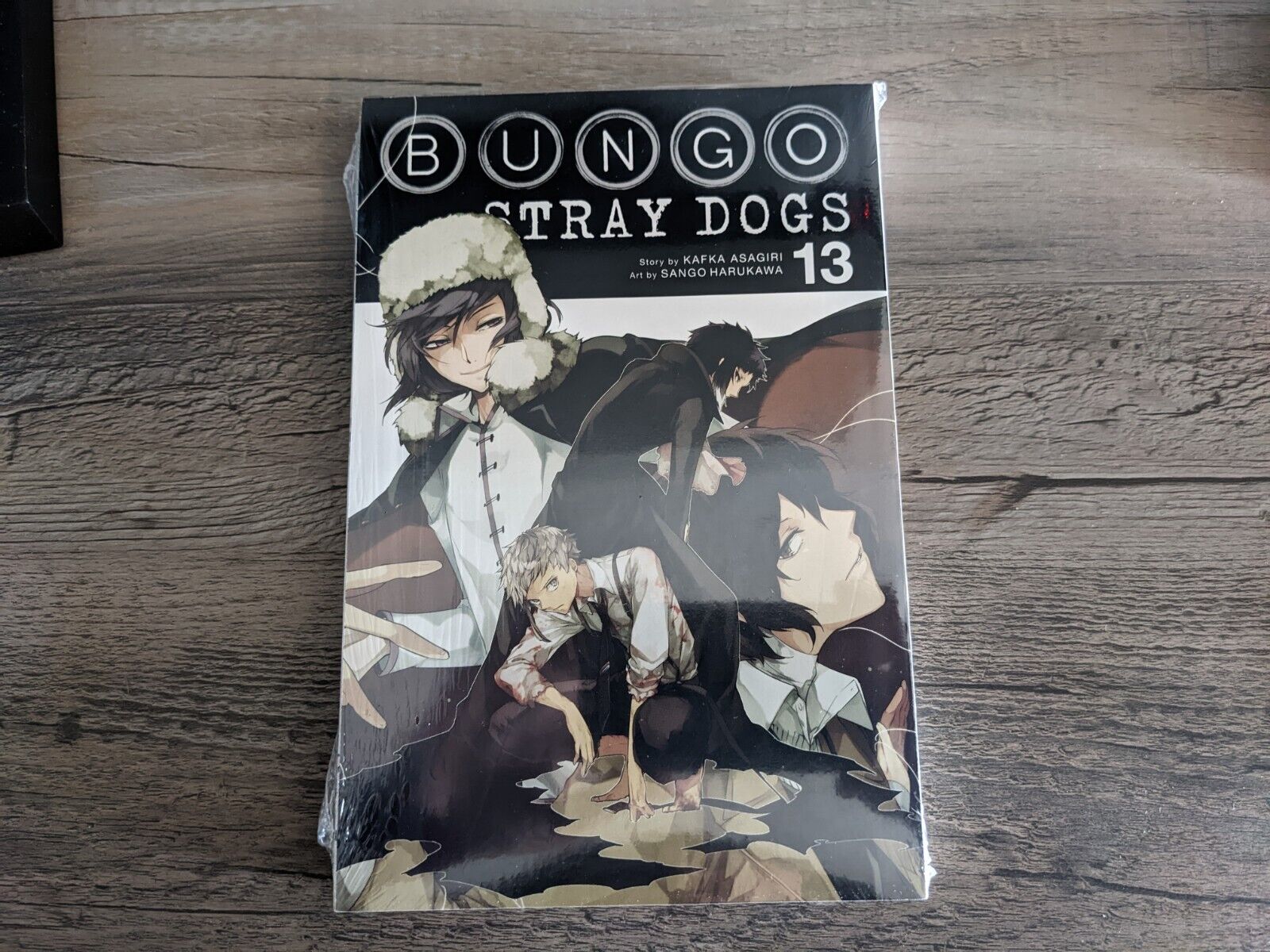 Picture of Bungo Stray Dogs Vol. 13