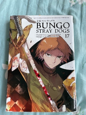 Picture of Bungo Stray Dogs Vol. 17