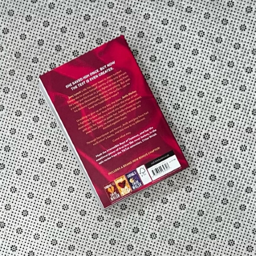 Picture of Redeeming 6 ( Boys of Tommen #4 ) ( Book by Chloe Walsh ) ( Premium Paper and Matte Cove ) Novel