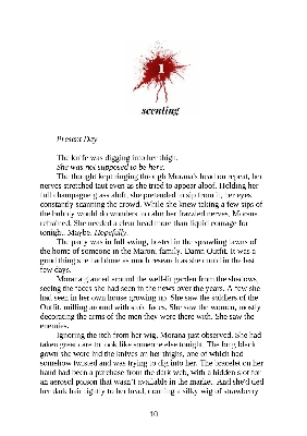 Picture of The Predator ( Dark Verse #1 ) by RuNyx ( Premium Paper and Matte Cover ) Novel