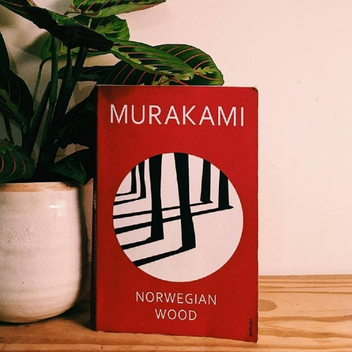 Picture of Norwegian Wood ( Book by Haruki Murakami ) ( Premium Paper and Matte Cover ) Novel