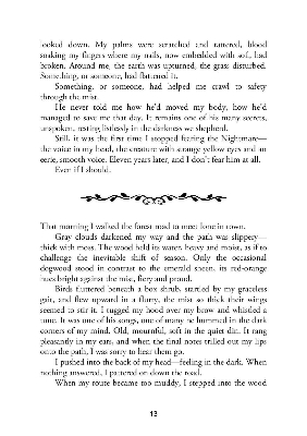 Picture of One Dark Window ( The Shepherd King #1 ) ( Book by Rachel Gillig ) ( Premium Paper and Matte Cover ) Novel