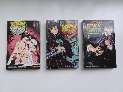Picture of Demon Slayer: Kimetsu no Yaiba, Vol. 12