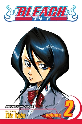 Picture of Bleach, Vol. 2