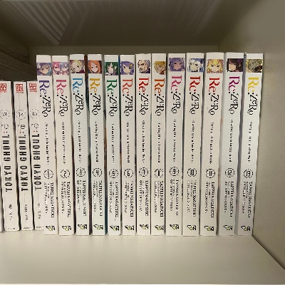 Picture of Re:Zero − Starting Life in Another World (Light Novel) SET Volume.(1-13) | Premium Quality Paperback Manga | MANGA Book gardan