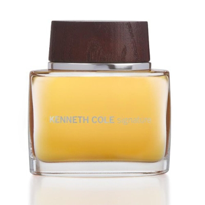 Picture of Kenneth Cole Signature EDT 100Ml For Men