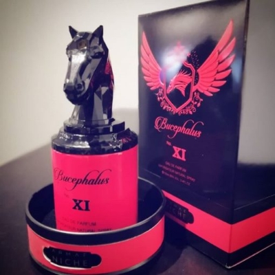 Picture of Bucephalus No. Xi Edp 100Ml ( Niche )
