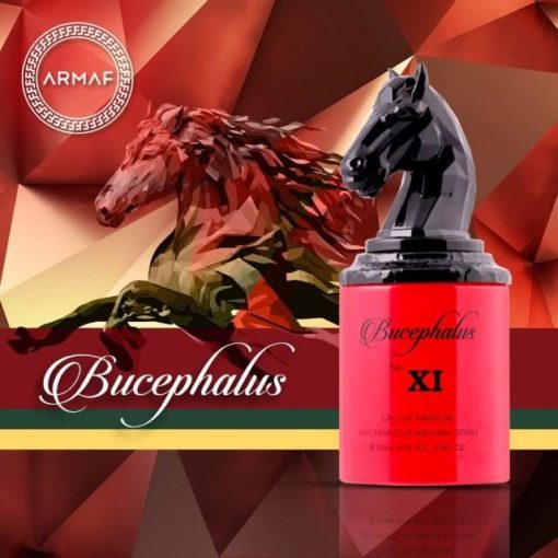 Picture of Bucephalus No. Xi Edp 100Ml ( Niche )