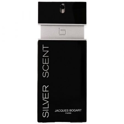 Picture of Silver Scent Edt For Men (100Ml)