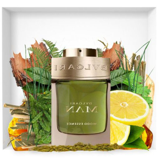 Picture of Man Wood Essence Edp 100Ml - Perfume