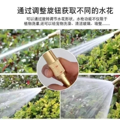 Picture of Copper Nipple Direct Water Spray Gun Head Spray Nozzle Car Wash Water Quick Connector Home Garden Hose Adjustable Gun_ D Shop