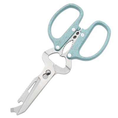 Picture of Dobeli 10 in 1 Removable Stainless Steel Blade Shears Straw Handle Multi Functional Kitchen Scissors Household Hand Tools_D Shop