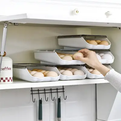 Picture of D Shop Refrigerator Storage Drawer Egg Fresh Box Rolling Slide Box Dumpling Box Household Eggs Plastic Holder Food Storage Organization