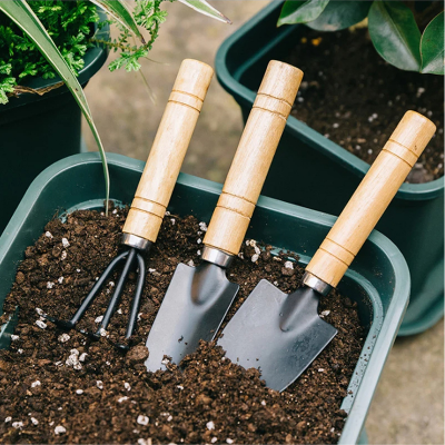 Picture of 3pcs Mini Garden Shovel Rake Spade Bonsai Tools Set Wooden Handle for Flowers Potted Plant Garden Tools Weeding Tools-D Shop